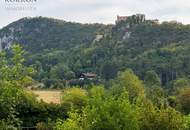PFERDEHALTUNG MIT WEITBLICK – LANDWIRTSCHAFTLICHES ANWESEN IN ALLEINLAGE