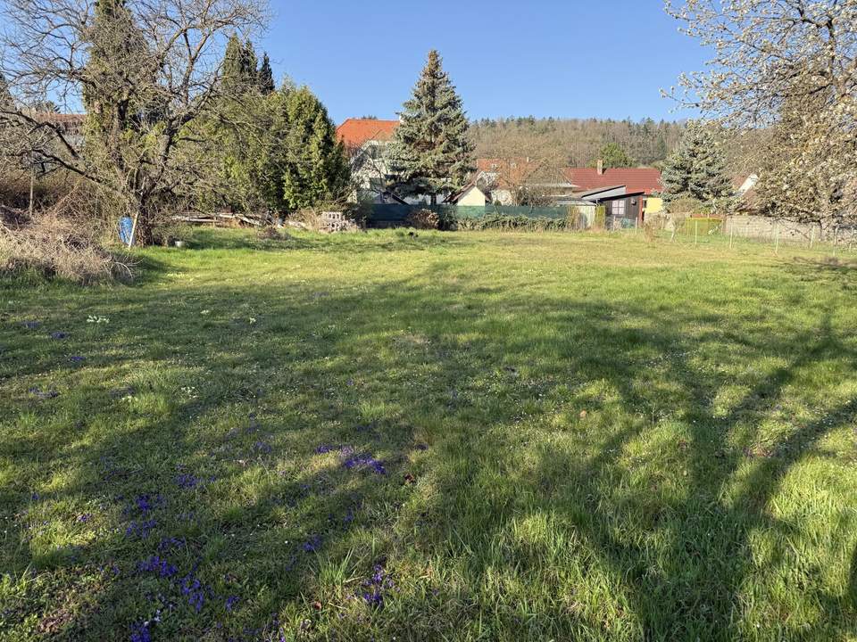 Baugrundstück in Bad Sauerbrunn zu verkaufen – Traumlage für Ihr neues Zuhause!