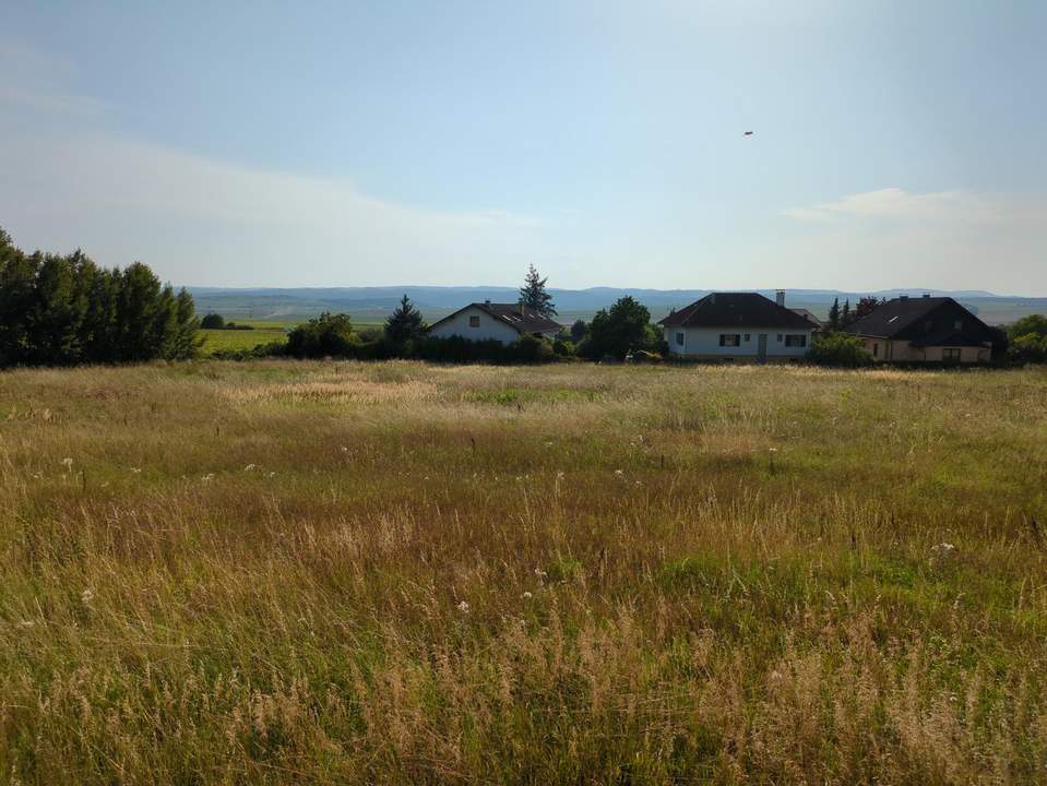 10 EBENE BAUPARZELLEN IN DER NÄHE VON HORN UND MAISSAU