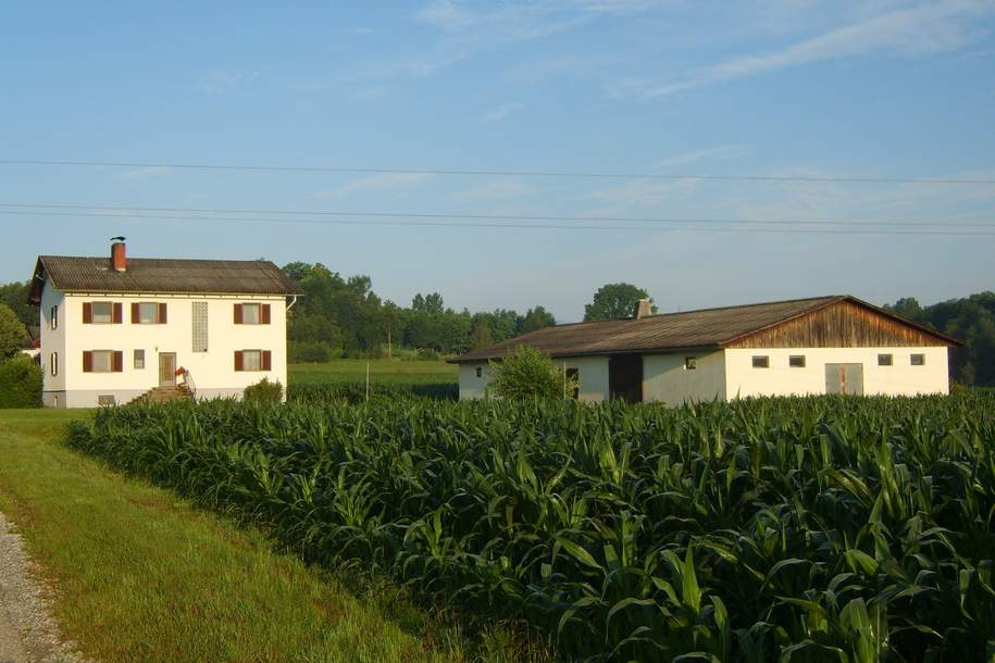 Landwirtschaft mit Potential, Gewerbeobjekt-kauf, 1.350.000,€, 8521 Deutschlandsberg
