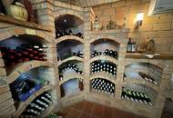 IN SLOWENIEN! Winzerhaus mit Weingarten und Blick bis zum Horizont!