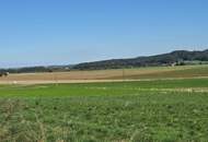 Unverbaubare Fernsicht! 1.531 m² großes Hang-Baugrundstück OHNE Bauzwang und OHNE Bebauungsplan in Steusiedlung am Land!