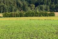 Gewerbegrundstück und Freiland in gefragter Lage nahe Graz