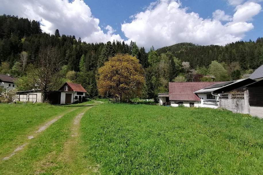 Wohnen im Grünen - Projekt für vorausschauende Planer, Grund und Boden-kauf, 75.000,€, 8611 Bruck-Mürzzuschlag