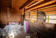 Gepflegtes Einfamilienhaus in guter Lage