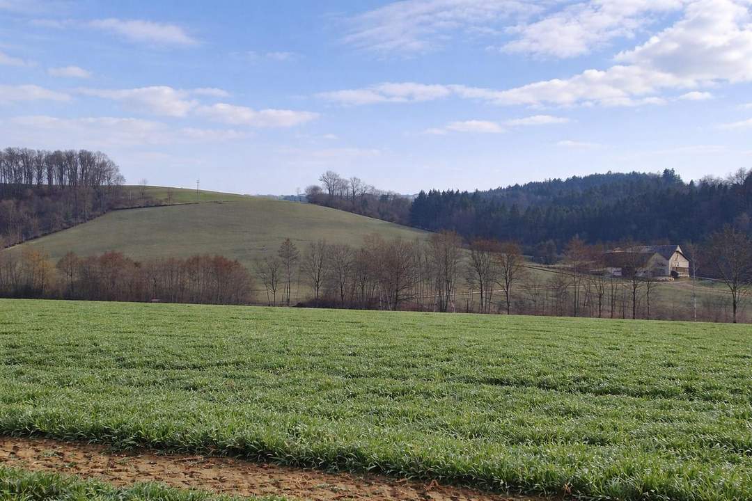 Landwirtschaftliche Nutzflächen in St. Agatha / Waizenkirchen