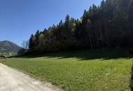 Baugrundstück in Naturlage