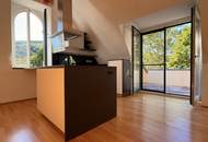 Adventsaktion: PROVISIONFREI I Südwest-Dachterrasse inkl. Blick ins Grüne I 3,20m Raumhöhe I Stellplätze verfügbar I freier Mietzins