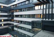 Das myhive Urban Garden Bürokonzept – Ein "Detox-Programm" für den Arbeitsalltag