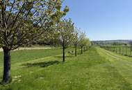 Provisionsfrei - Schönes Freizeitgrundstück mit Obstgarten