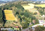 Direkte Thermennähe in Stegersbach – Traumobjekt mit Altbestand, Fischteich und Wald