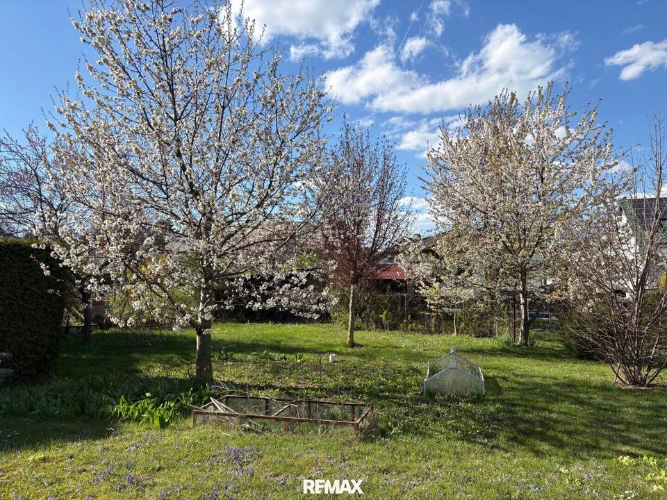 "PREISREDUKTION – Familientraum mit Obstgarten"