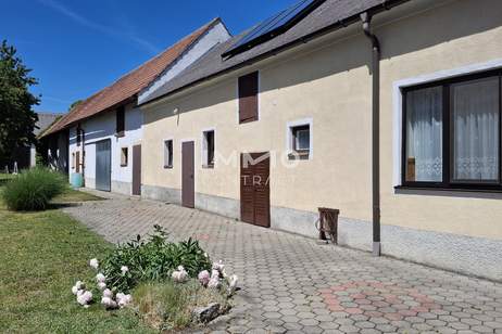 Ein Zuhause zum Wohlfühlen – Bauernhaus in Neuhodis, Haus-kauf, 179.000,€, 7464 Oberwart