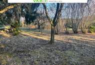 Großzügiges Grundstück in Spattendorf – Gemeinde Alberndorf in der Riedmark (GST 2438/3)