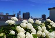 KLIMATISIERTE PRAXIS / THERAPIE / BÜRO IN ABSOLUTER RUHELAGE NÄHE SCHWEDENPLATZ UND STEPHANSPLATZ