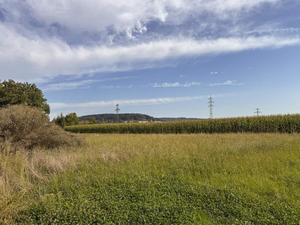 Baulandparzelle in Timelkam