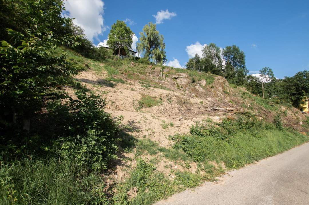 Großes sonniges Grundstück in Südhanglage