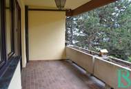 Hietzinger Cottage - Wohnung mit Terrasse und Kamin - Grünruhelage