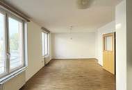 Tolle Einraumwohnung mit neuer Küche - nächst S-Bahn Nußdorf und Donaukanal!