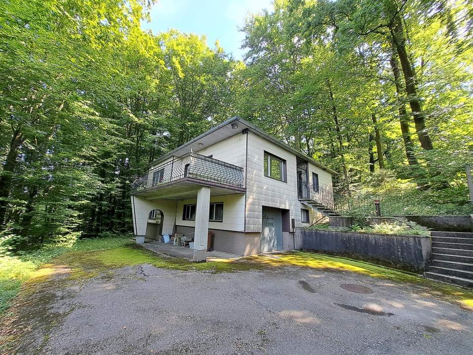 Einfamilienhaus mit Wohnrecht und 1875 m² Grund - idyllische Waldrandlage in Steyr/Fischhub