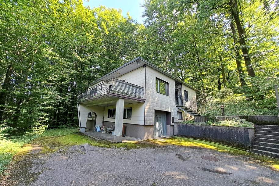 Einfamilienhaus mit Wohnrecht und 1875 m² Grund - idyllische Waldrandlage in Steyr/Fischhub, Haus-kauf, 268.000,€, 4400 Steyr(Stadt)