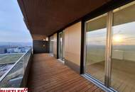 SILVESTER MIT FERNBLICK