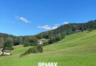 Großes Bauland in Fresach mit Potenzial