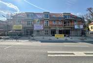 ++ Projekt PALES ++ 3 Zimmer mit TERRASSE &amp; GARTEN