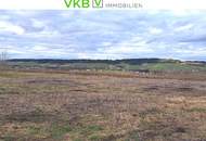 Baugrund mit landwirtschaftlichem Nutzgrund (Bio Grund) ca. 8000 m²