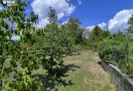 Außergewöhnliches Naturparadies in Bad Vöslau