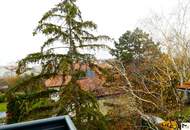 Moderne Doppelhaushälfte in Vösendorf: Erstbezug mit Garten und 6 Zimmern!