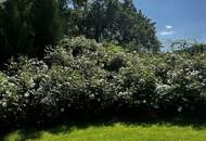 Naturpoesie in 3400 Klosterneuburg - Ihr High-End Rückzugsort vor den Toren Wiens