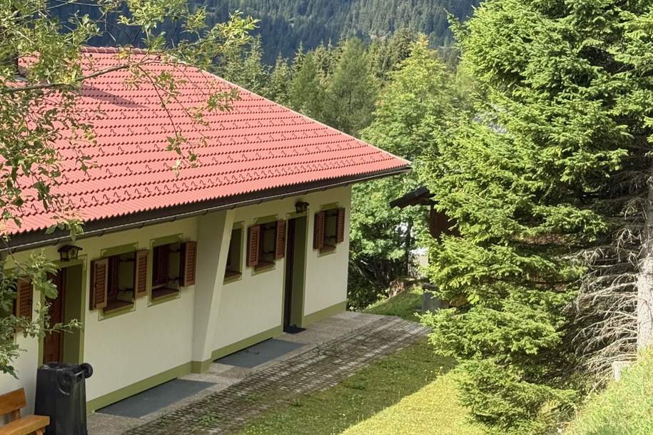 Freizeitwohnsitz auf Eigengrund | Doppelhaushälfte | Skiliftnähe | Klippitztörl, Haus-kauf, 280.000,€, 9462 Wolfsberg