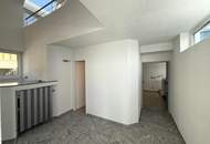 Ansprechendes Atelier, Loft, Dachterrasse inkl. PP im Neunzehnten // Attractive Studio, loft, roof terrace incl. parking in the nineteenth //