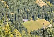 155 Hektar Forst- und Jagdrevier im Bezirk Wolfsberg