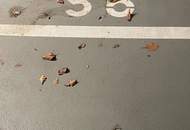 Traumhaft gelegene 56m2 große Mietwohnung mit 2-Zimmer und Balkon in Stockerau zu MIETEN!