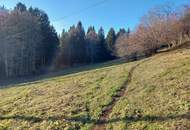 Großes Bauland in Fresach mit Potenzial