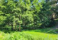 Naturparadies mit Fischteich, Fischerhütte und Wasserrechten - nahe Stadtschlaining