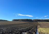 GROSSE landwirtschaftliche Flächen (ca. 27 ha!) und ein Waldgrundstück! Auch Teilkauf möglich! BEZIRK OBERWART!