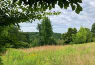 Wohnen im schwedischen Stil im traumhaften Südburgenland!