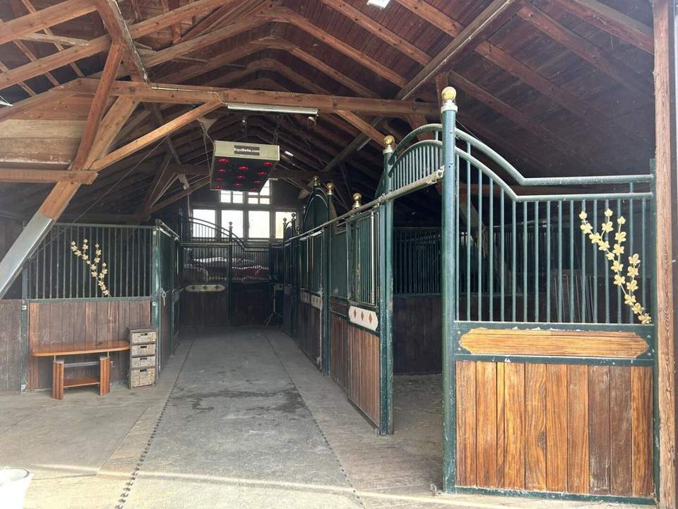 Exklusiver Pferdehof mit 2 Wohneinheiten, Reithalle &amp; großem Grund in Hochneukirchen