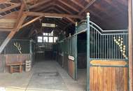 Exklusiver Pferdehof mit 2 Wohneinheiten, Reithalle &amp; großem Grund in Hochneukirchen