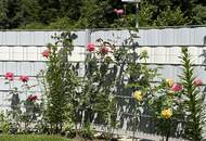 Wunderschöne Eigentumswohnung mit Terrasse und tollem Garten in herrlicher Grünruhelage