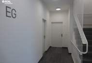 5-Zimmer-Wohnung - Homeoffice/Büro/Ordination möglich - 2 Eingänge - im attraktiven Wildgarten-Viertel - Provisionsfrei für Käufer:innen