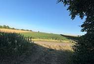 ACKERFLÄCHE IN PIXENDORF - ZUSAMMENHÄNGENDE LANDWIRTSCHAFTLICHE FLÄCHE