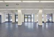 Büro-, Geschäfts- oder Ausstellungslokal mit großflächiger Auslagenfront