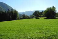 Hübsche, landwirtschaftliche Wiese mit kleinem Wald - KEIN Baugrund !!!