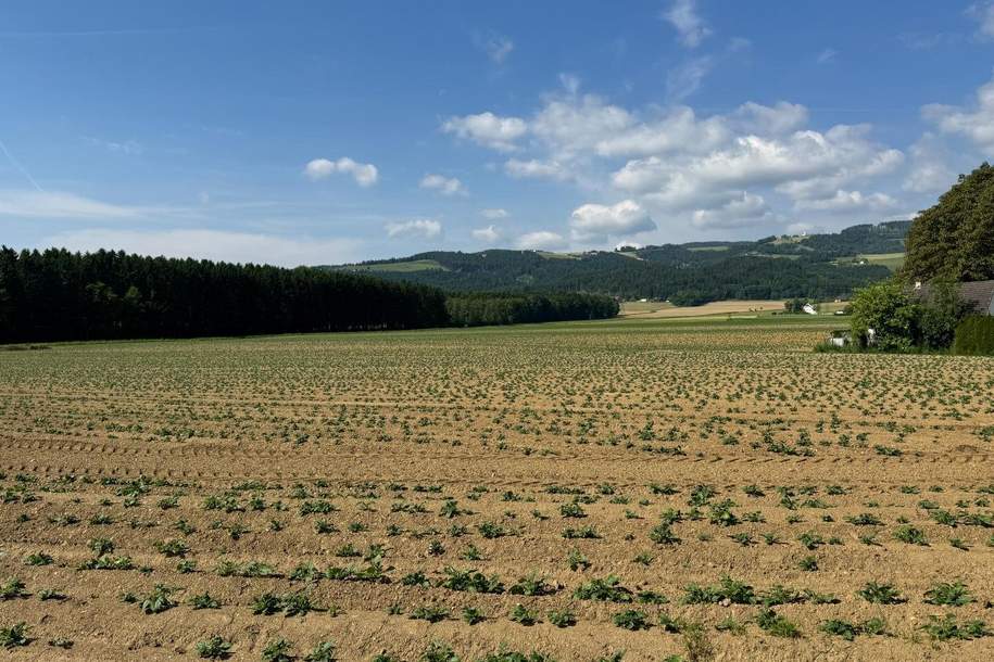 Attraktives Baugrundstück mit Entwicklungspotenzial – schöne Lage in St. Marein Nähe Wolfsberg, Grund und Boden-kauf, 275.000,€, 9431 Wolfsberg