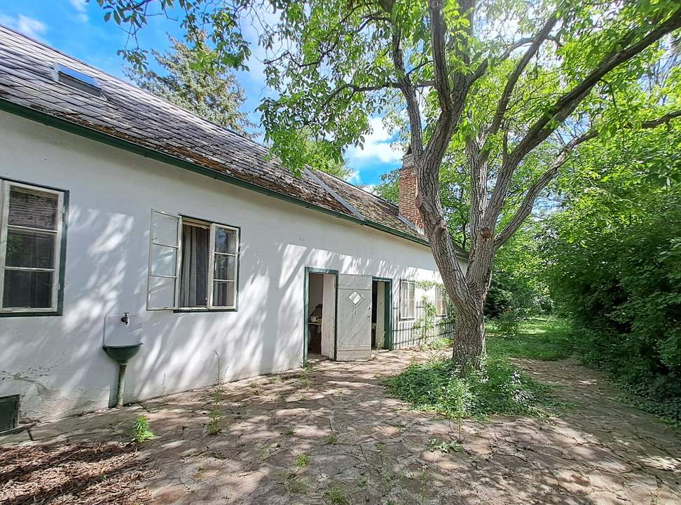 Bauträger oder Liebhaber: ehemaliges Winzerhaus