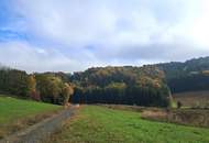 Die eigene Ranch auf 9,2ha Grund und Wald verwirklichen (Provisionsfrei)